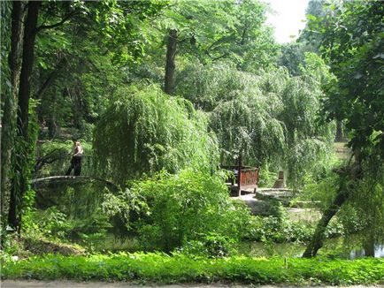 Romantismul parcului dendrologic Krasnokut