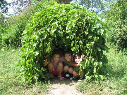 Romantismul parcului dendrologic Krasnokut