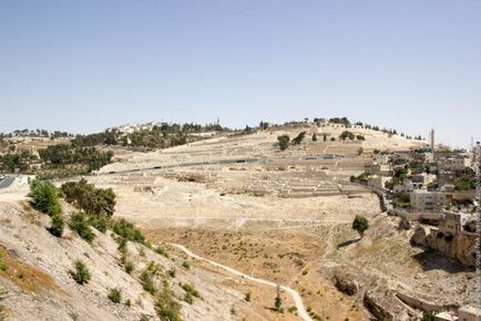 Femeie rusă despre Israel că nu le place a noastră