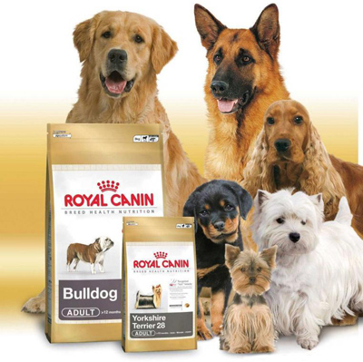 Royal canin - бренд кормів для собак і кішок