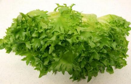 Saláta frillis leírása és jellemzői a termesztés