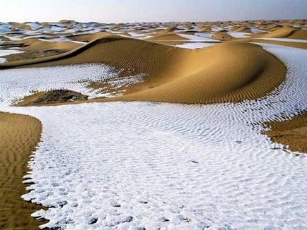 A legérdekesebb sivatagi a világ izgalmas!