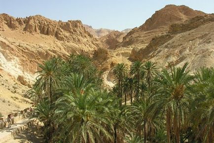 Найкрасивіші оази в пустелях з усього світу