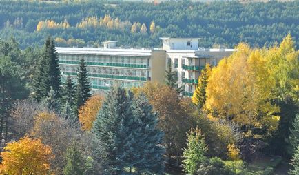 Sanatorium picket, agentie de turism