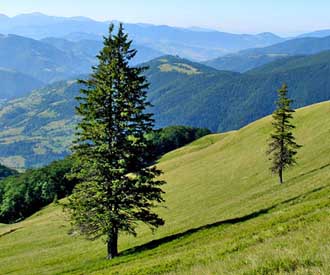 Санаторій Карпати, трускавець