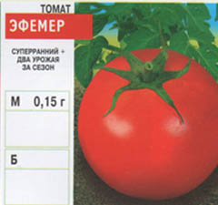 Seminte de flori si legume en-gros - tomate (6)