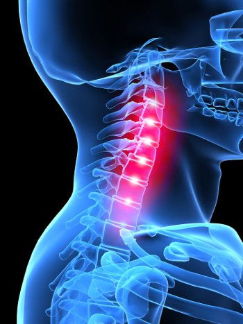 Anatomia vertebrelor cervicale a coloanei vertebrale cervicale