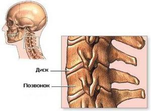 Anatomia vertebrelor cervicale a coloanei vertebrale cervicale