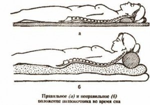 Система харчування Кацудзо Ніші