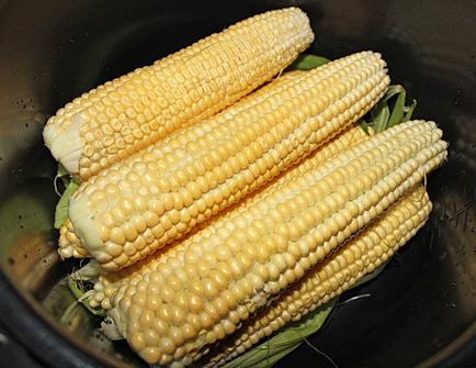 Скільки за часом варити кукурудзу, скільки хвилин варити кукурудзу в каструлі, пароварці, в