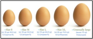 Milyen nehéz tojás kategória, jelölés, a komponensek aránya a tojás