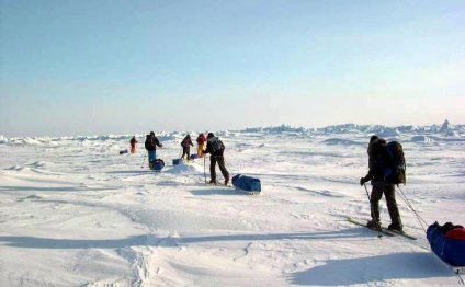 Cât timp este Polul Nord, Arctic și Antarctica