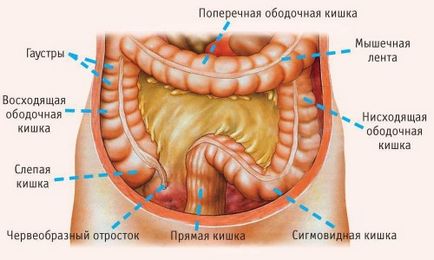 Mucus în timpul defecării ca simptom al procesului inflamator