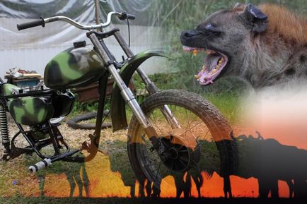 Râde hyena (pictura) - motocicletă Minsk