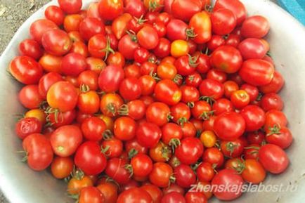 Солоні помідори черрі в відерці, жіночі слабкості