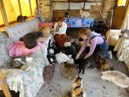Angajații fku ik-40 gufsin russia din regiunea Kemerovo au vizitat în cadrul adăpostului voluntar pentru