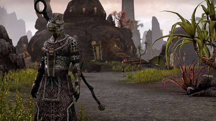 Поради для хілерів, the elder scrolls online