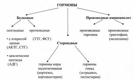 Сучасні уявлення про гормонах