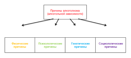 Etapele alcoolismului - semne, simptome și etapele de alcoolism ale alcoolismului