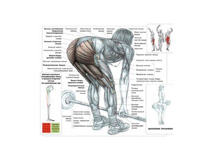 Blocaje, diferențe, avantaje - viața mea sportivă