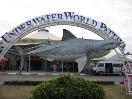 Merită să vizitați oceanarium-ul din Pattaya