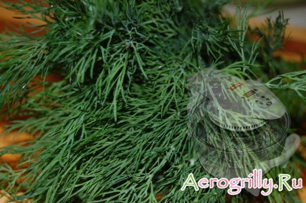 kapor szárítás Aerogrill - receptek aerogrill, vélemények és utasítások Aerogrill