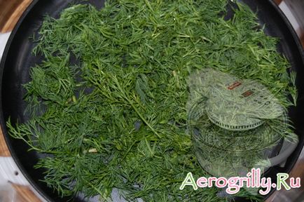 Uscarea mărariei în aerogrill - rețete pentru aerogrill, recenzii și instrucțiuni pentru aerogrills (he) Uscarea fenicului în aerogrill - rețete pentru aerogrill, recenzii și instrucțiuni pentru aerogrills