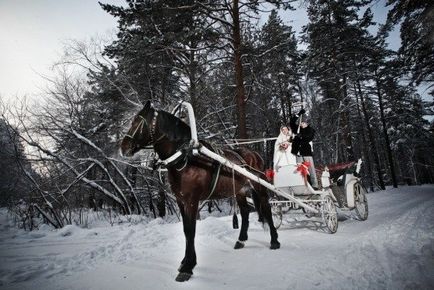 Весілля взимку декор, палітра і снігові деталі