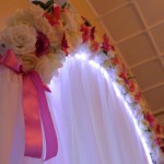 Arcul de nunta cu preturi luminoase, fotografii, videoclipuri de la agentiile de vacanta din Ucraina vacanta ta