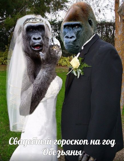Un horoscop de nunta pentru un an de maimuta, o vacanta - asta este!