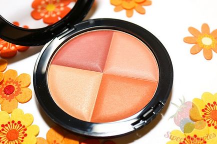 Sweet fructe de padure, blush multicolour 51-bronz placinta