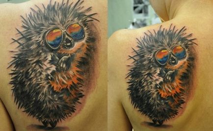 Tattoo sün (tetoválás) tetoválás sündisznó