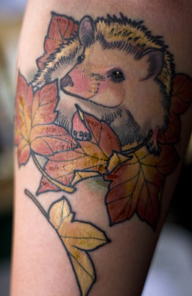 Tattoo un arici - valoare, schițe de un tatuaj și o fotografie