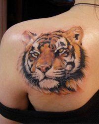 Tattoo Tiger - 50 kép