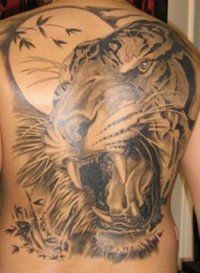 Tattoo Tiger - 50 kép