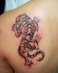 Tattoo Tiger - 50 kép