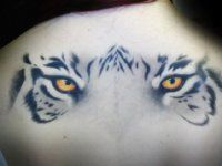 Tattoo Tiger - 50 kép