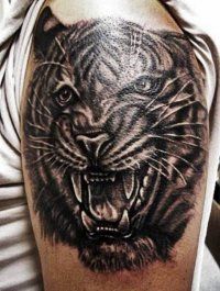 Tattoo Tiger - 50 kép