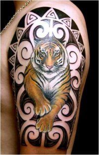 Tattoo Tiger - 50 kép