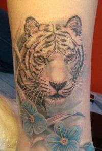 Tattoo tigru - 50 fotografii