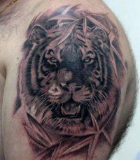 Tattoo Tiger - 50 kép