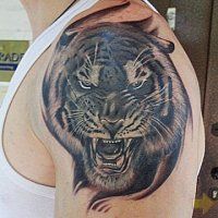 Tattoo Tiger - 50 kép