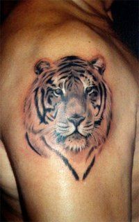 Tattoo Tiger - 50 kép