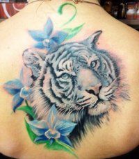 Tattoo Tiger - 50 kép