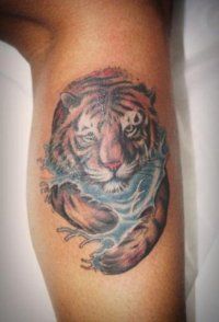 Tattoo Tiger - 50 kép