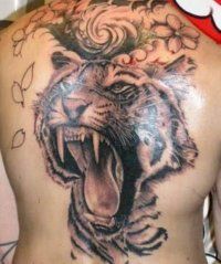 Tattoo Tiger - 50 kép