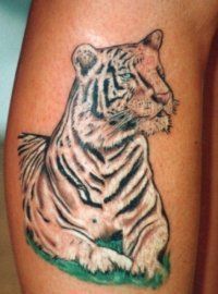 Tattoo Tiger - 50 kép