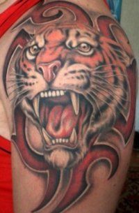 Tattoo Tiger - 50 kép