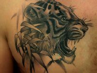 Tattoo Tiger - 50 kép