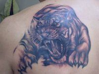 Tattoo Tiger - 50 kép